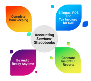 Accounting software in UAE